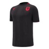 Maglia ufficiale Albania Alternativa 2024-25 per Uomo